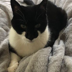 Meet your Posher, Cherry